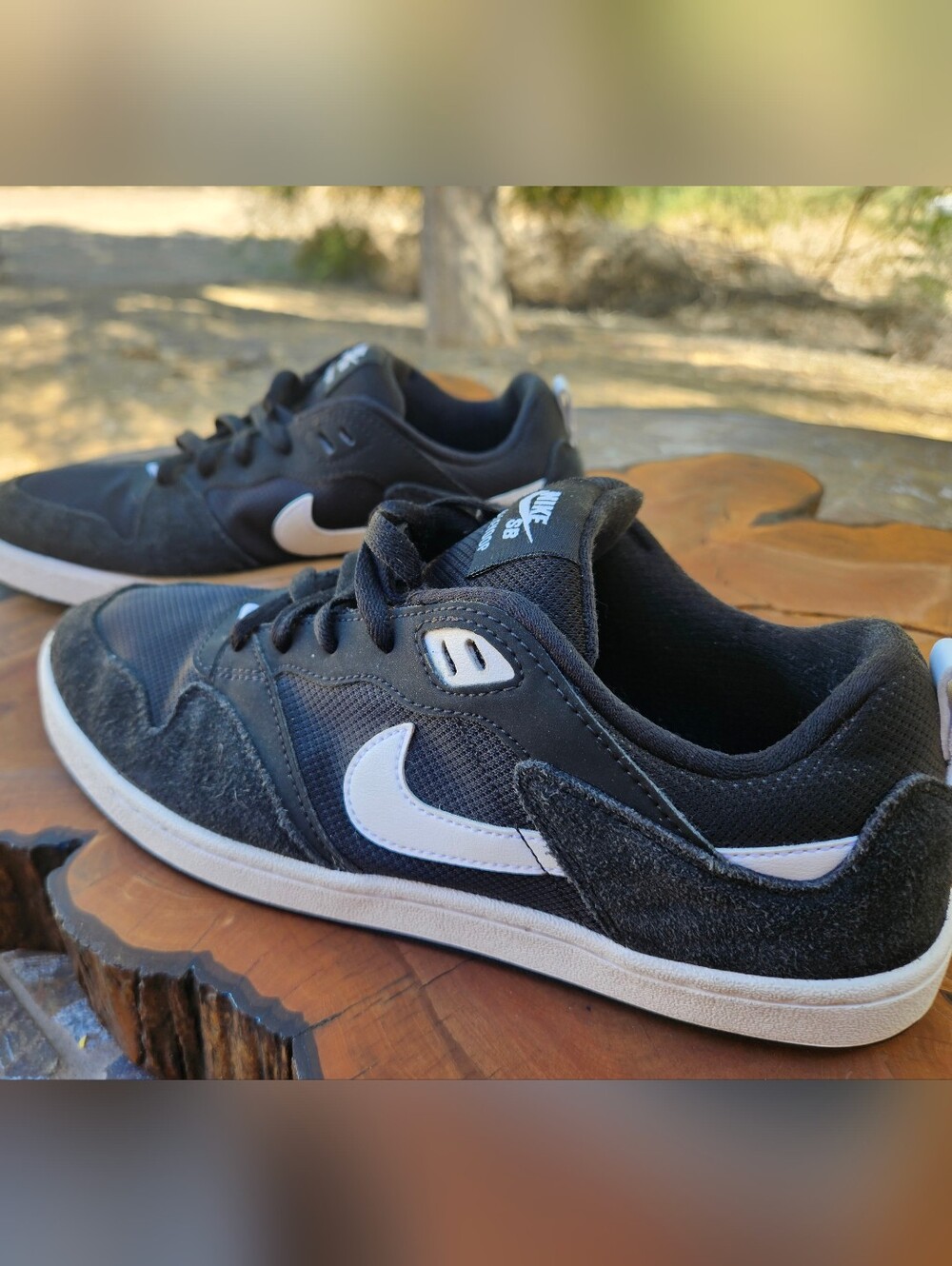 Nike SB Alleyoop in the "Black White" colorway (style code: CJ0882-001)
